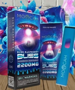 MOOCAH Watermelon Wave 2200mg Vape