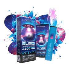 MOOCAH Vape Blue Raspberry Bliss 2200mg
